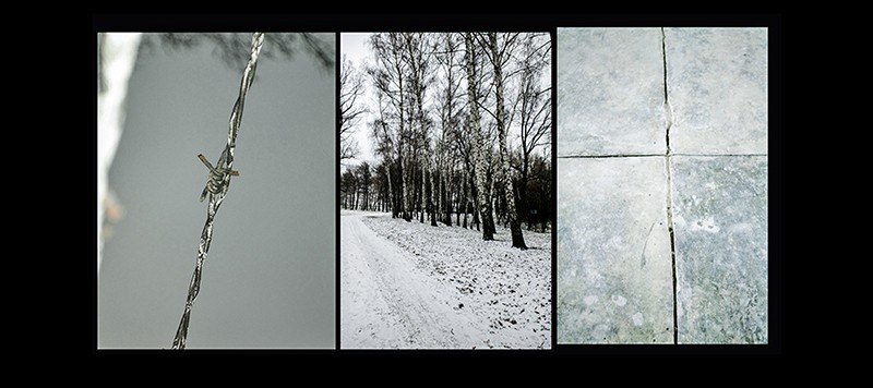 White silent hell 7